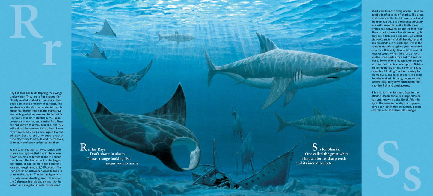 W is for Waves An Ocean Alphabet Picture Book