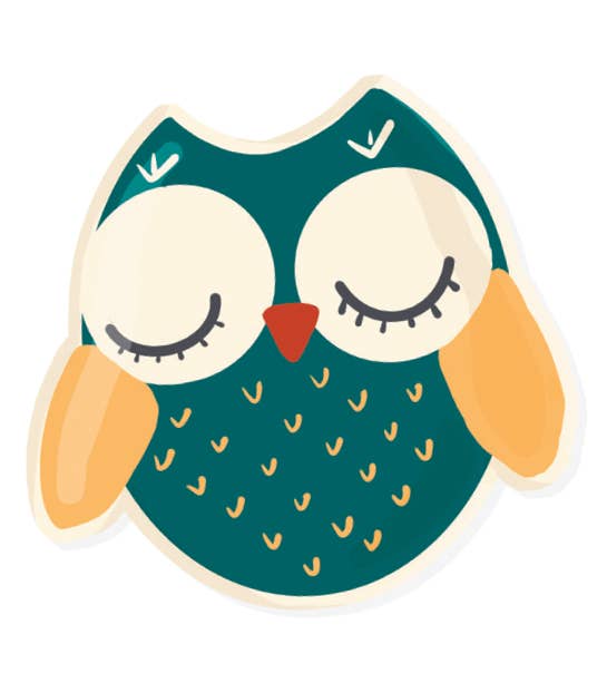 Owl Trinket Dish Kids Air Dry Clay Kit- All in One Activity