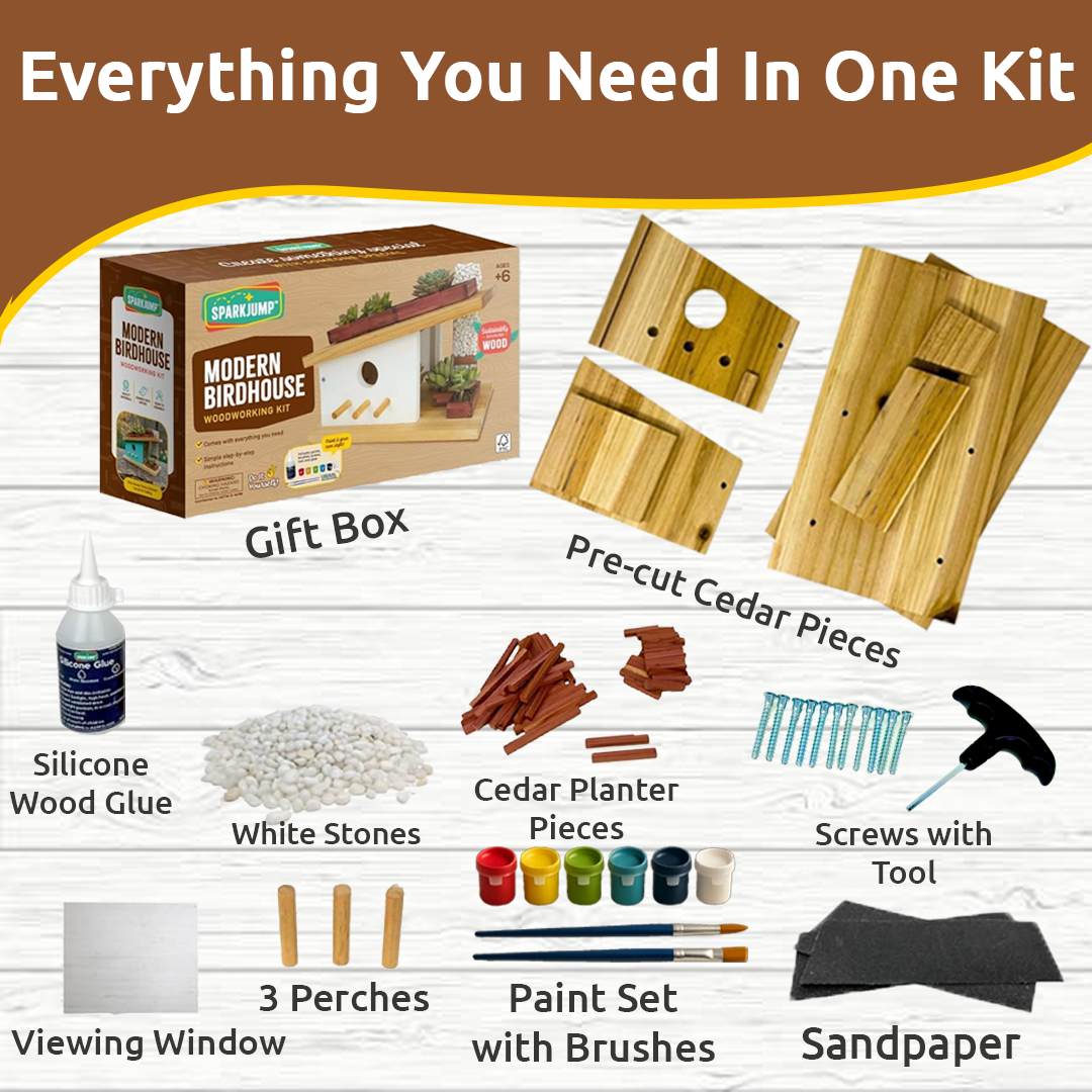 Modern Birdhouse Woodworking Kit