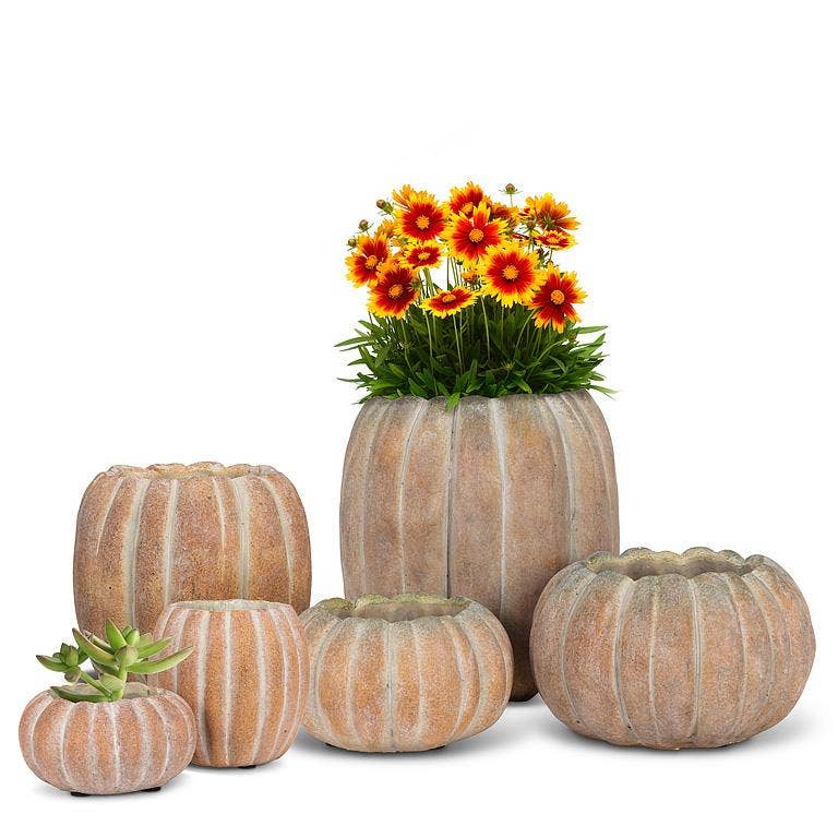 Cement Pumpkin Planter