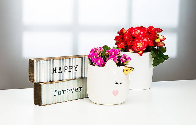 Sm Sleeping Unicorn Planter-3.5"H