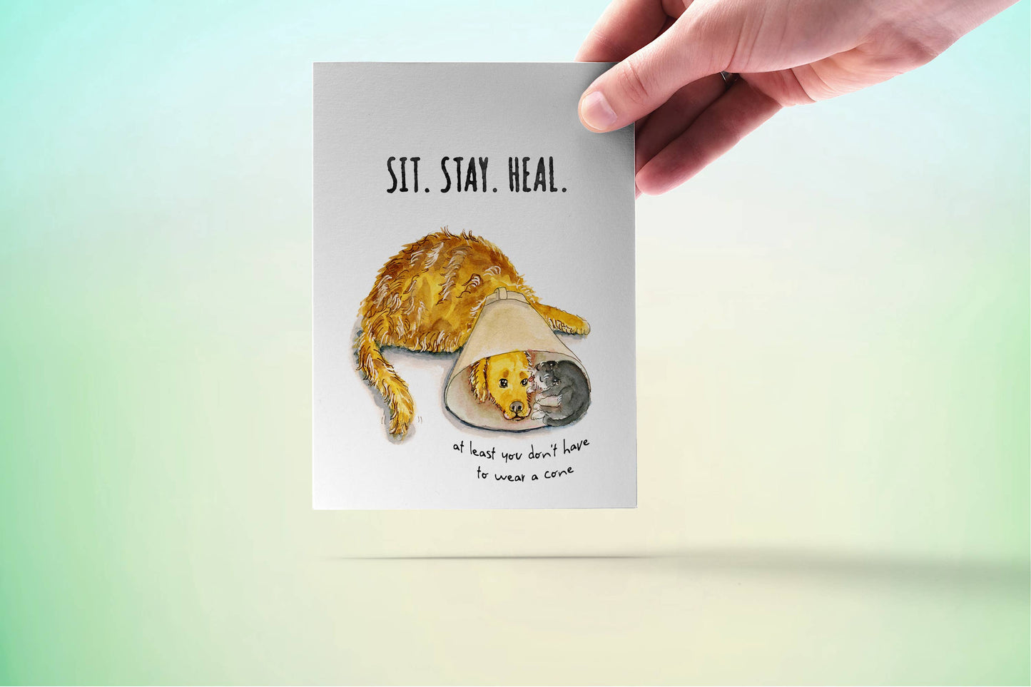 Cone Of Shame Dog And Cat - Sympathy Card