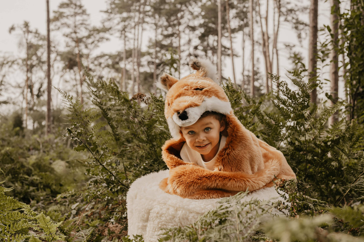 Kids Costume Fox