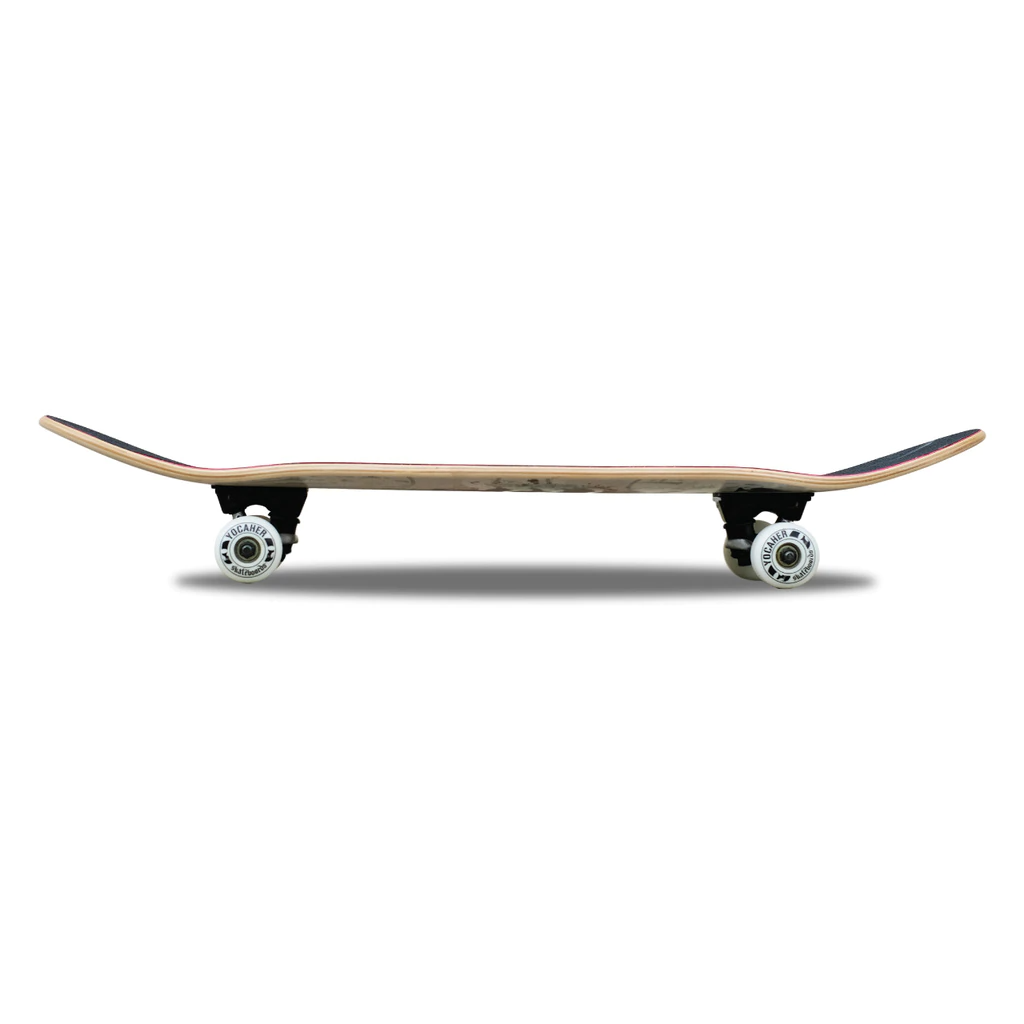 Graphic Complete Skateboard 7.75"  - Charm