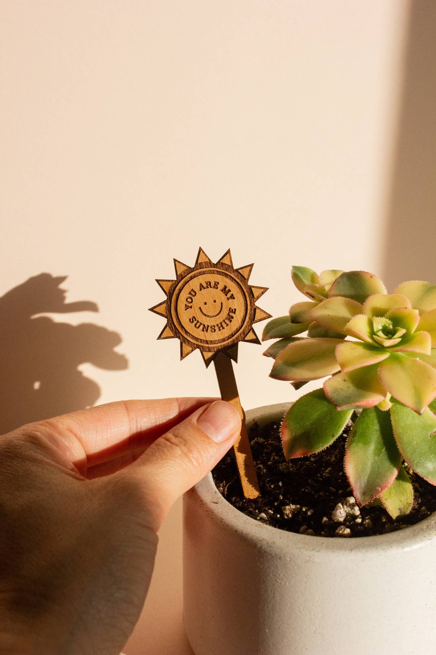 You Are My Sunshine Wood Plant Pick