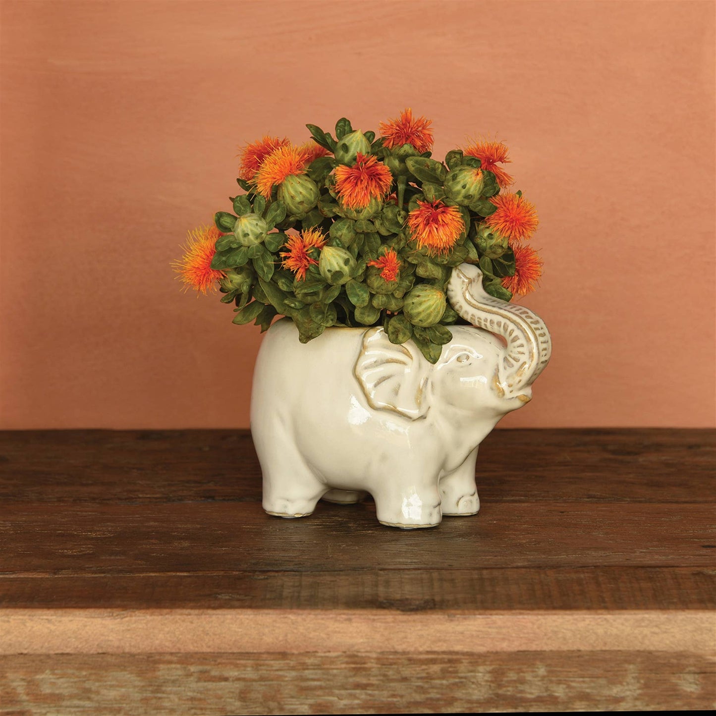 Elephant Cachepot, Ceramic - Fancy White