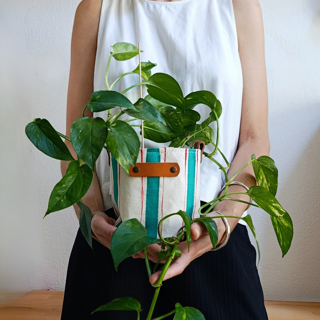 Striped Canvas Planter, Modern Indoor Plant Pot Cover