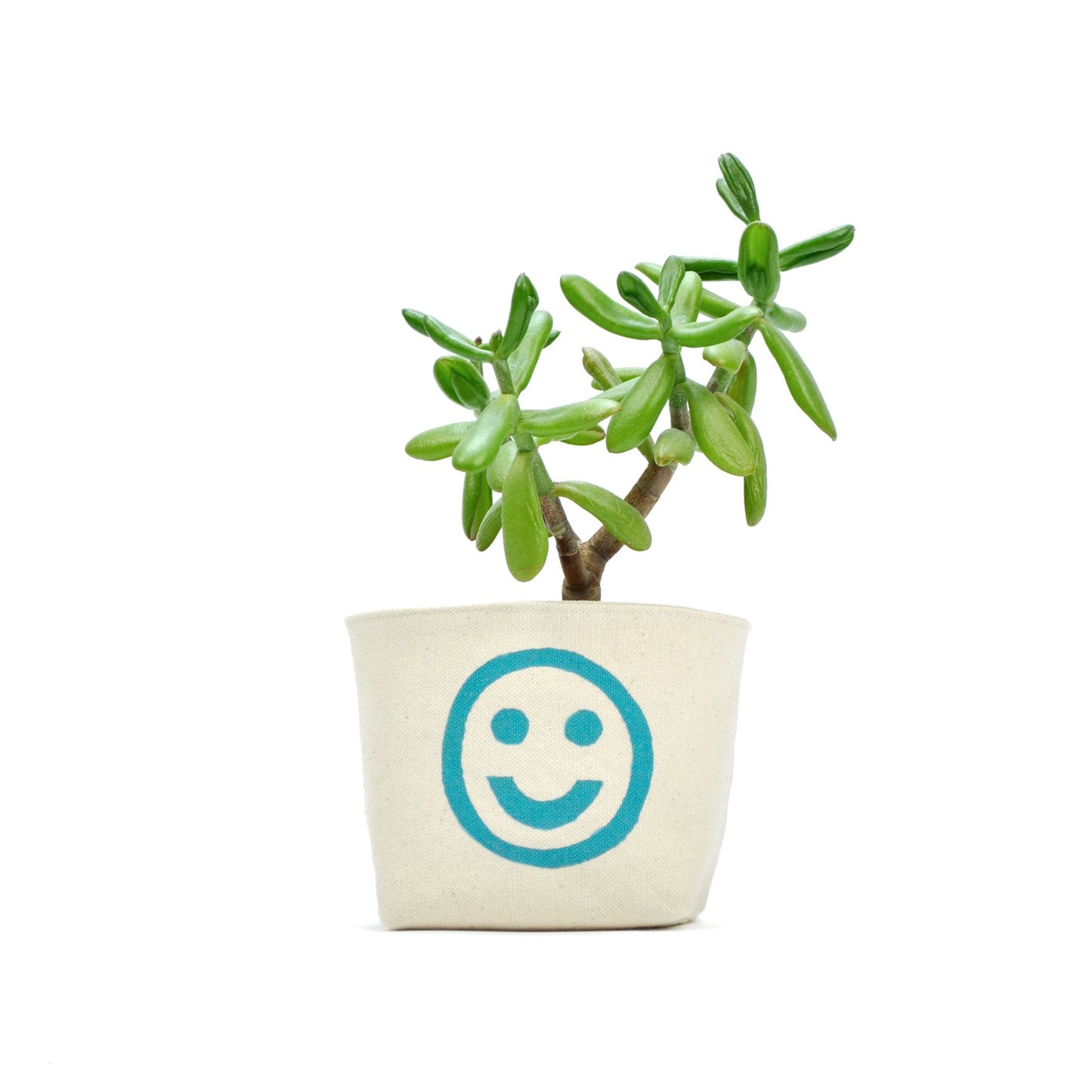 Smiley Face Blockprint Canvas Planter—4"