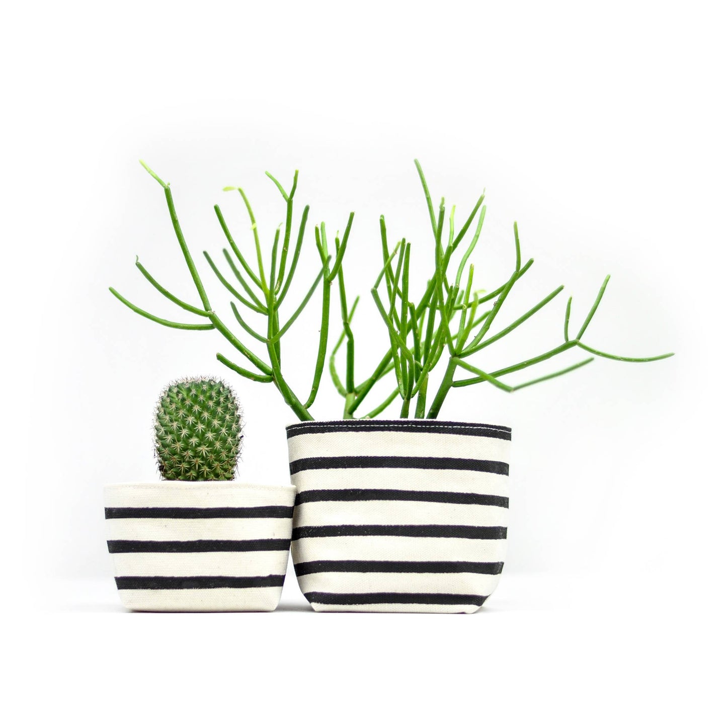 Black Stripe Canvas Planter—4"