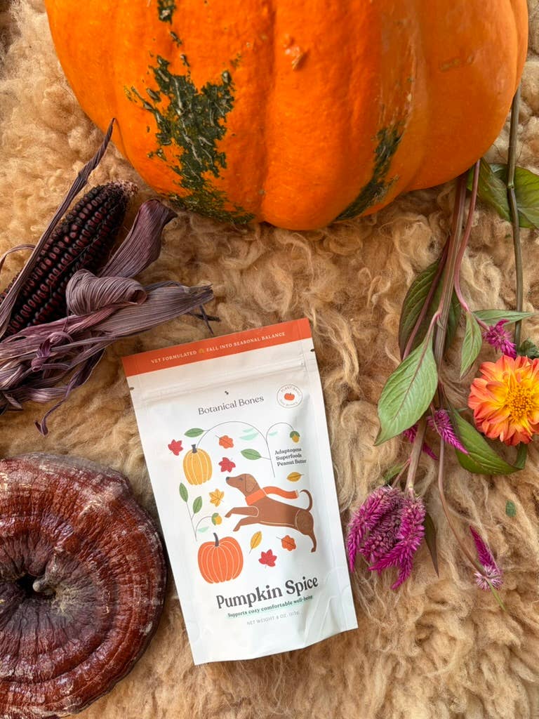 Pumpkin Spice Dog Treats 🎃  Fall, Autumn, Halloween