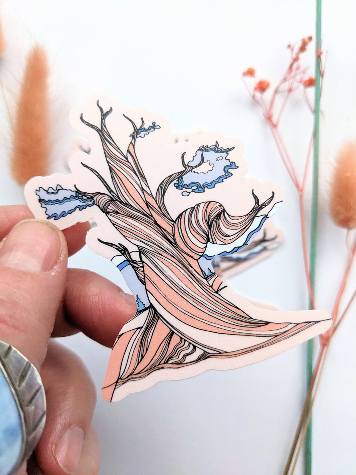 Bristlecone Pine Tree Vinyl Sticker, Tree Decal, Nevada Art