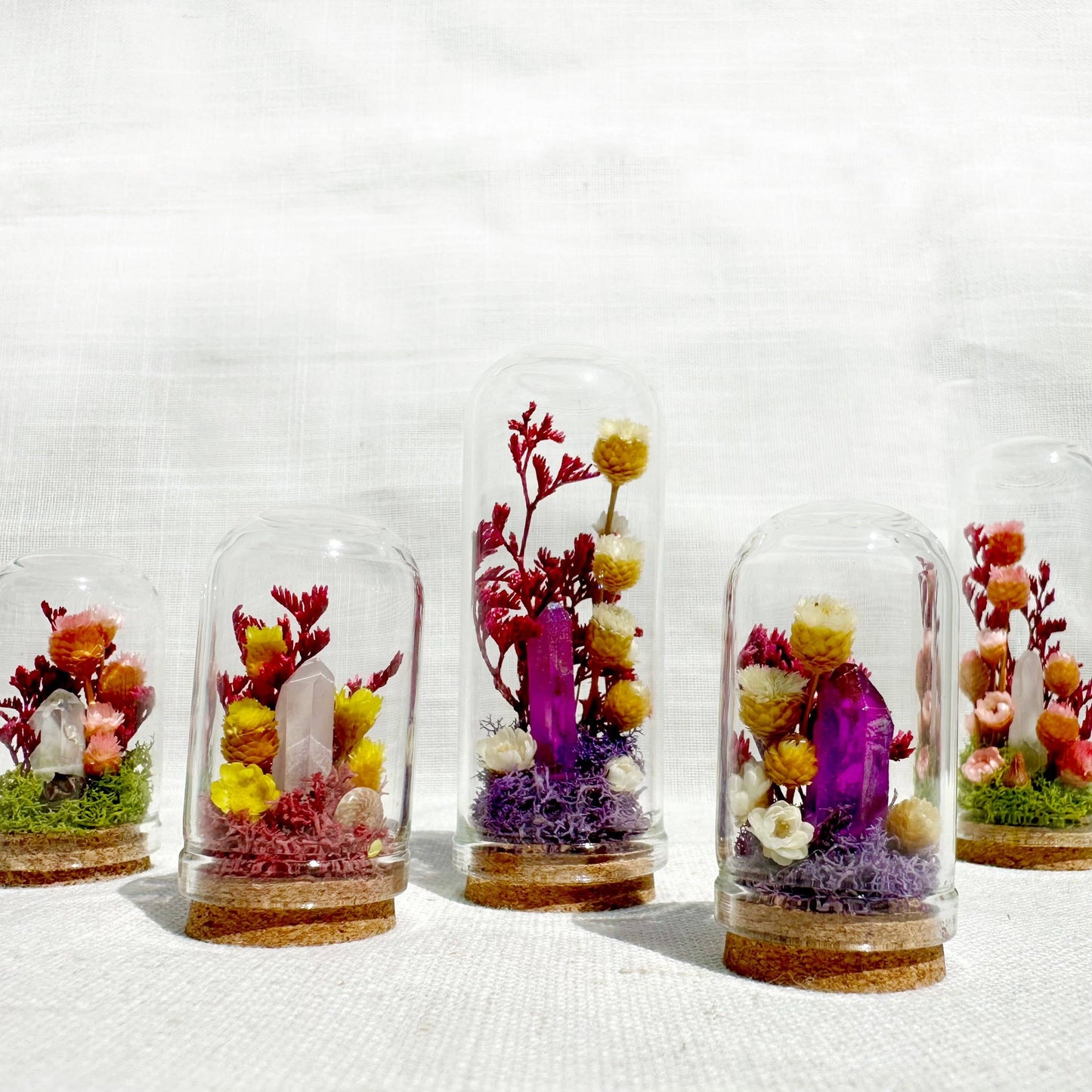Crystal Fairy Garden Mix Mini Glass Cloche Terrariums