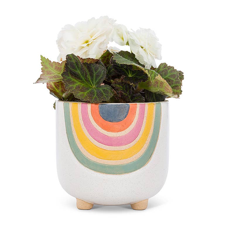 Lg Rainbow Planter w/Legs-5"H-2913