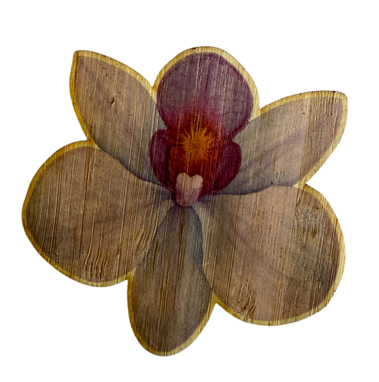 Orchid