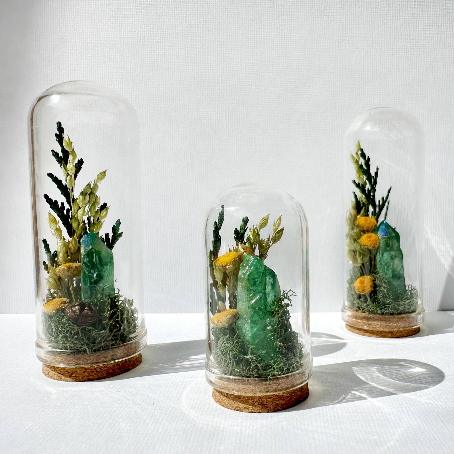 Sunlight Crystal Fair Terrarium Mini Floral Glass Cloche