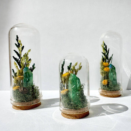 Sunlight Crystal Fair Terrarium Mini Floral Glass Cloche