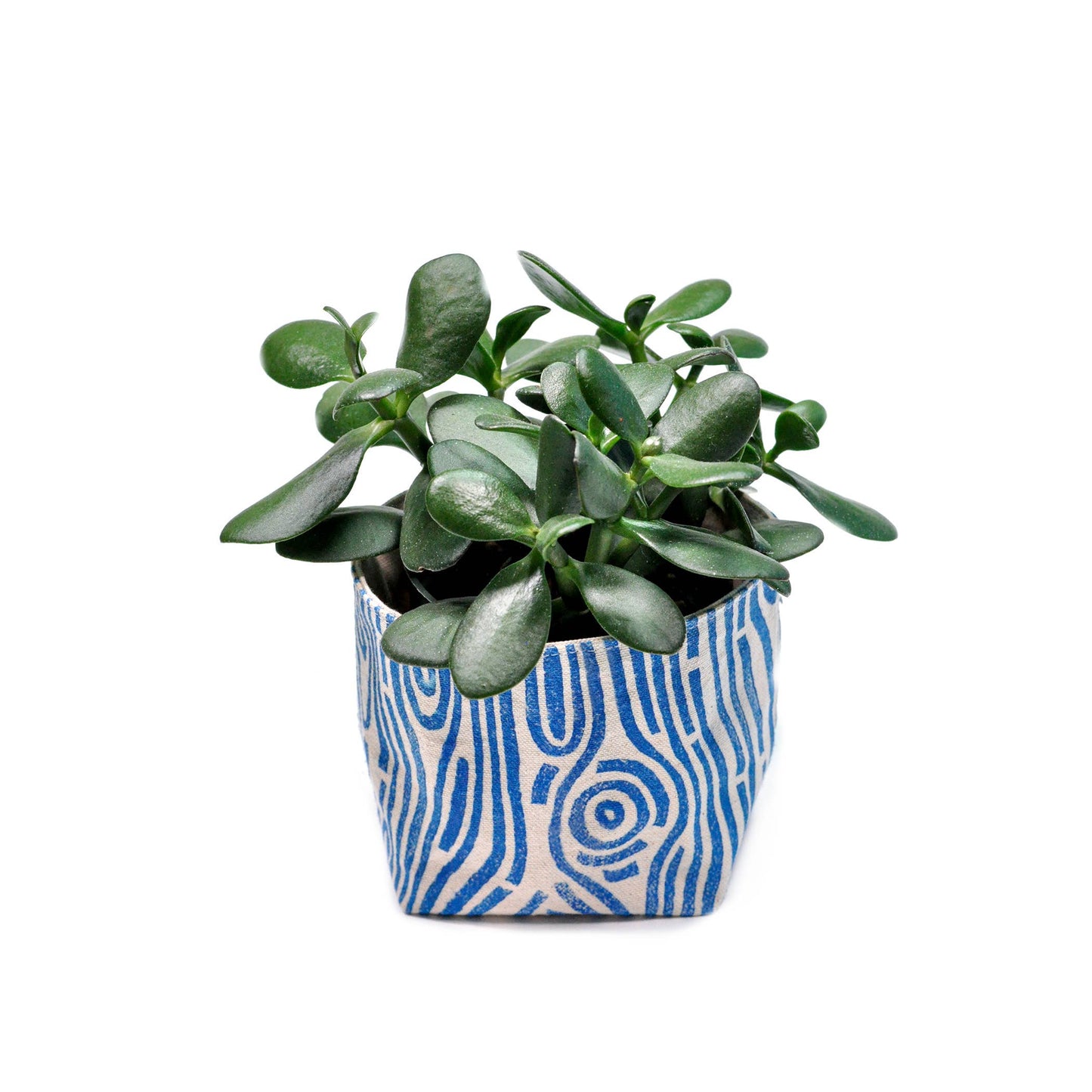 Woodgrain Blockprint Fabric Planter—4"