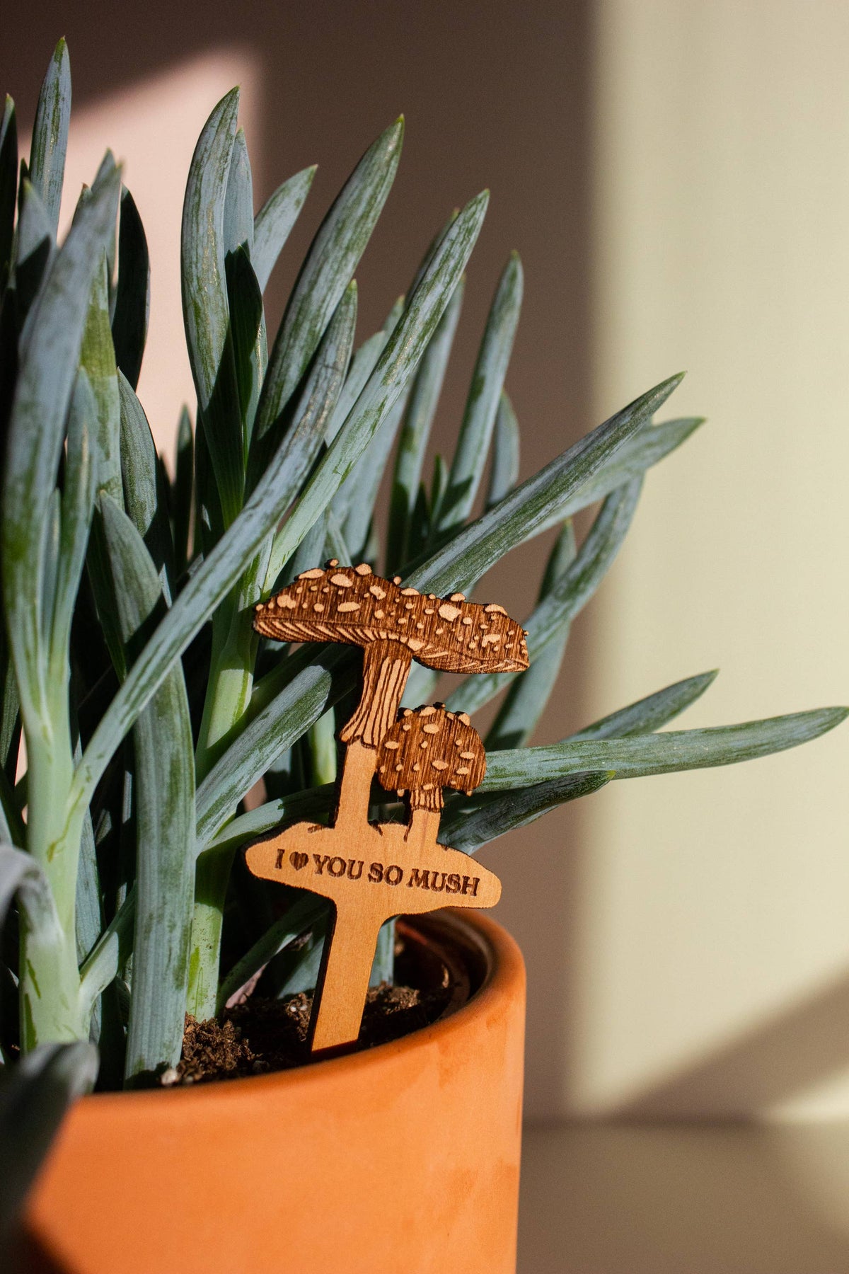 I Love You So Mush Mushrooms Wood Plant Pick