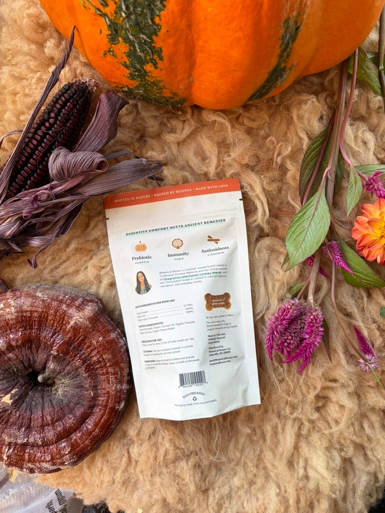 Pumpkin Spice Dog Treats 🎃  Fall, Autumn, Halloween
