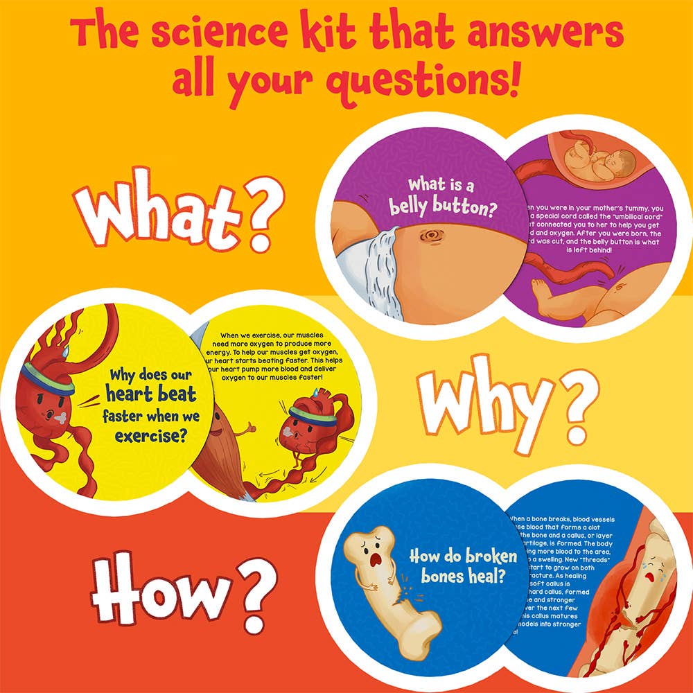 Skillmatics Flash Cards - Science Snippets The Human Body