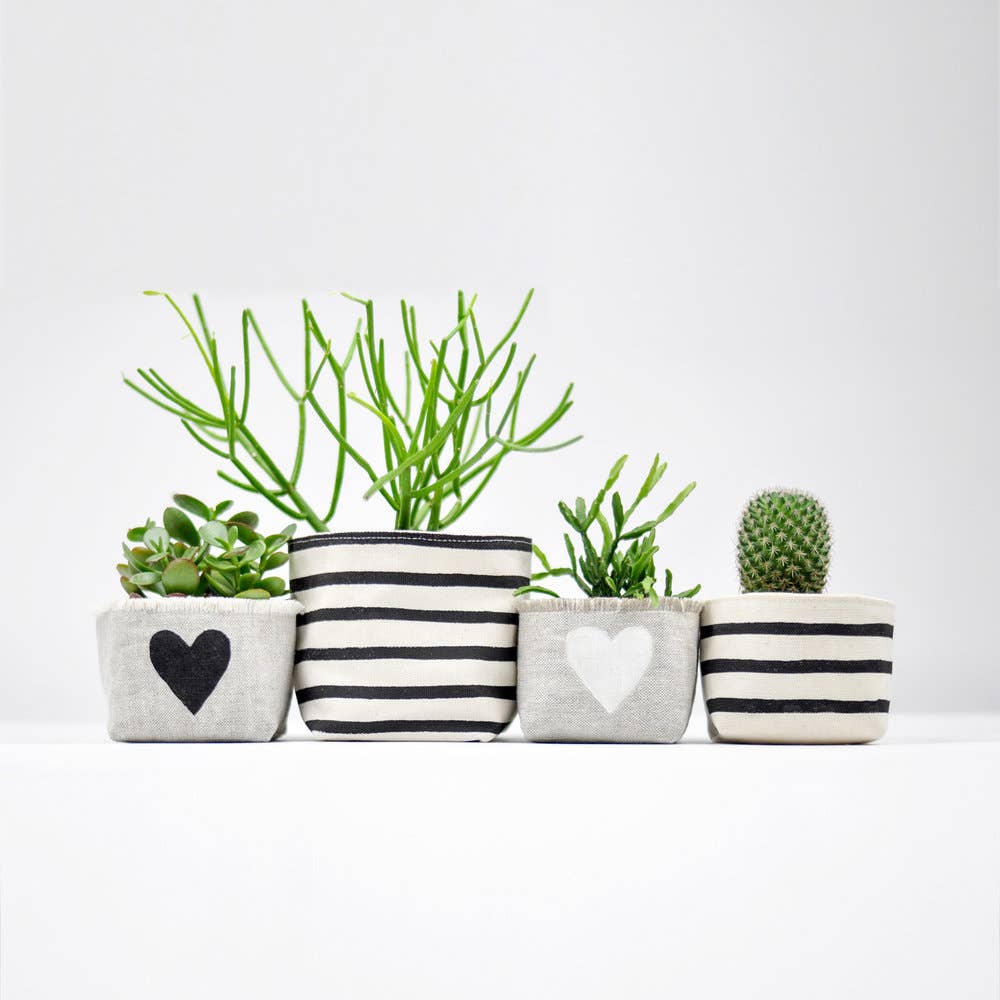 Black Stripe Canvas Planter—4"