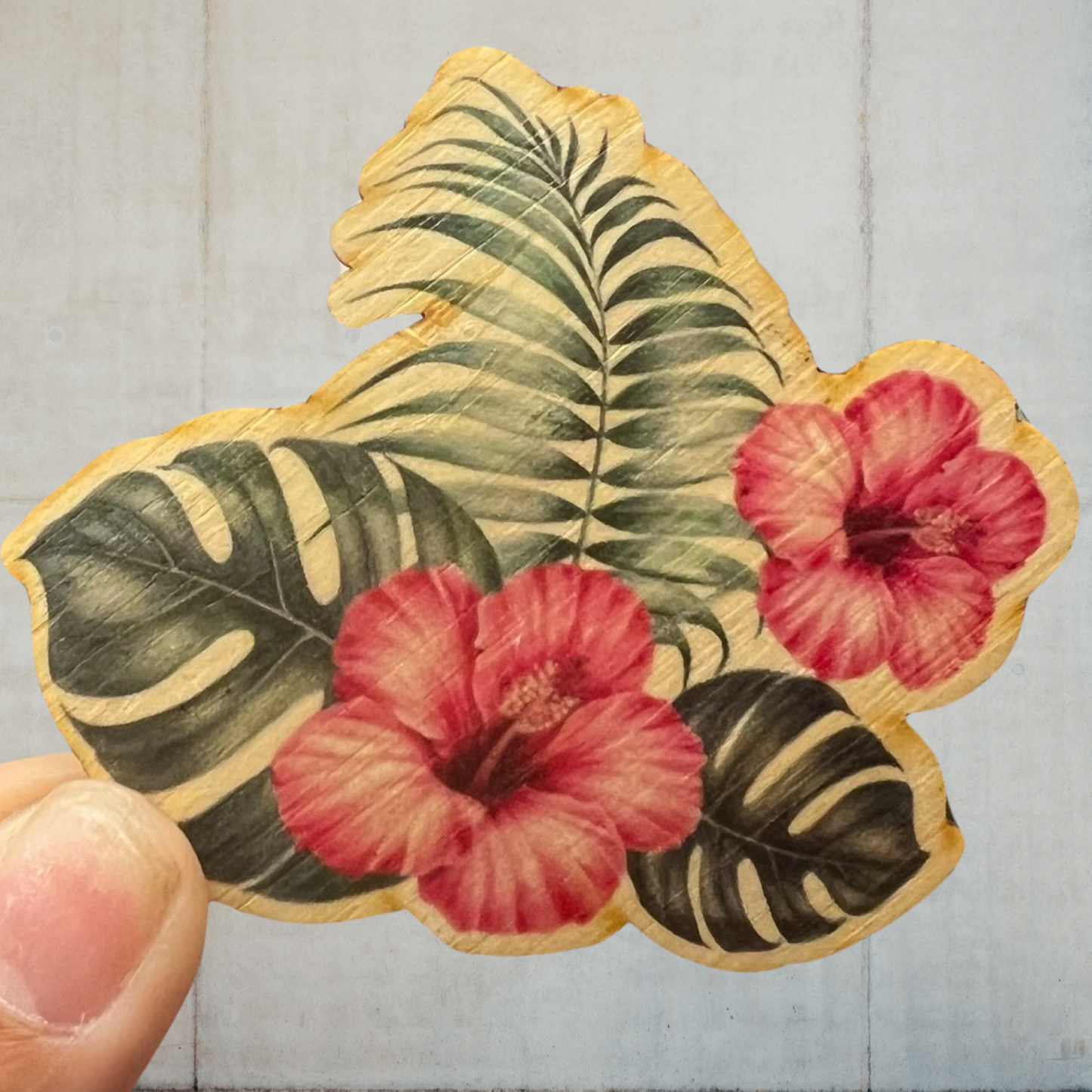 Hibiscus w/ Monstera