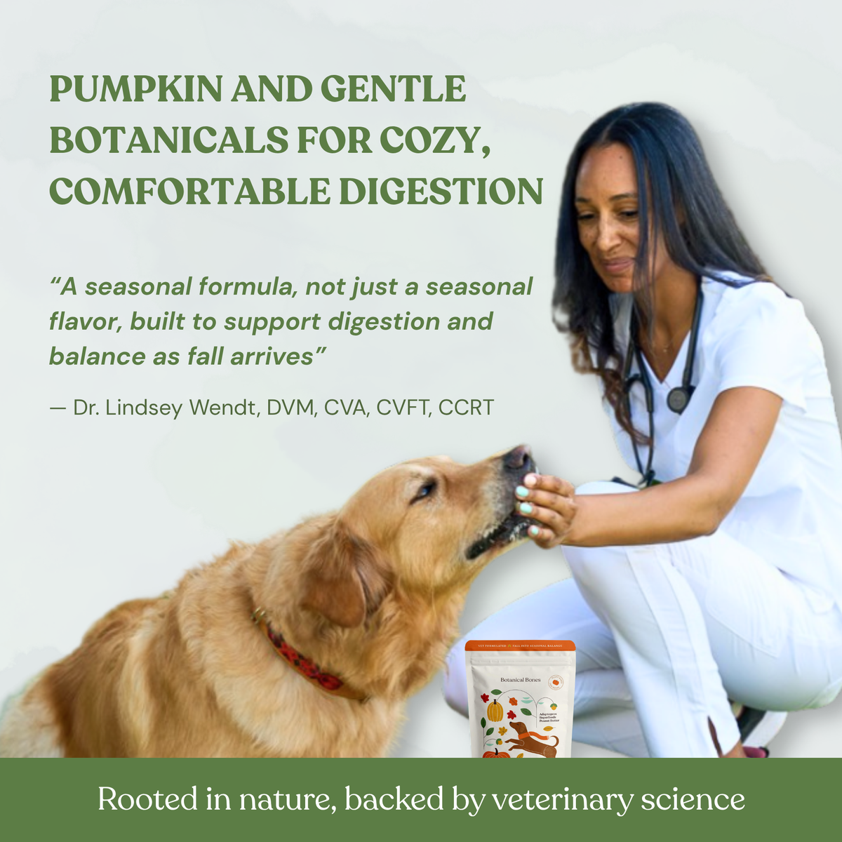 Pumpkin Spice Dog Treats 🎃  Fall, Autumn, Halloween