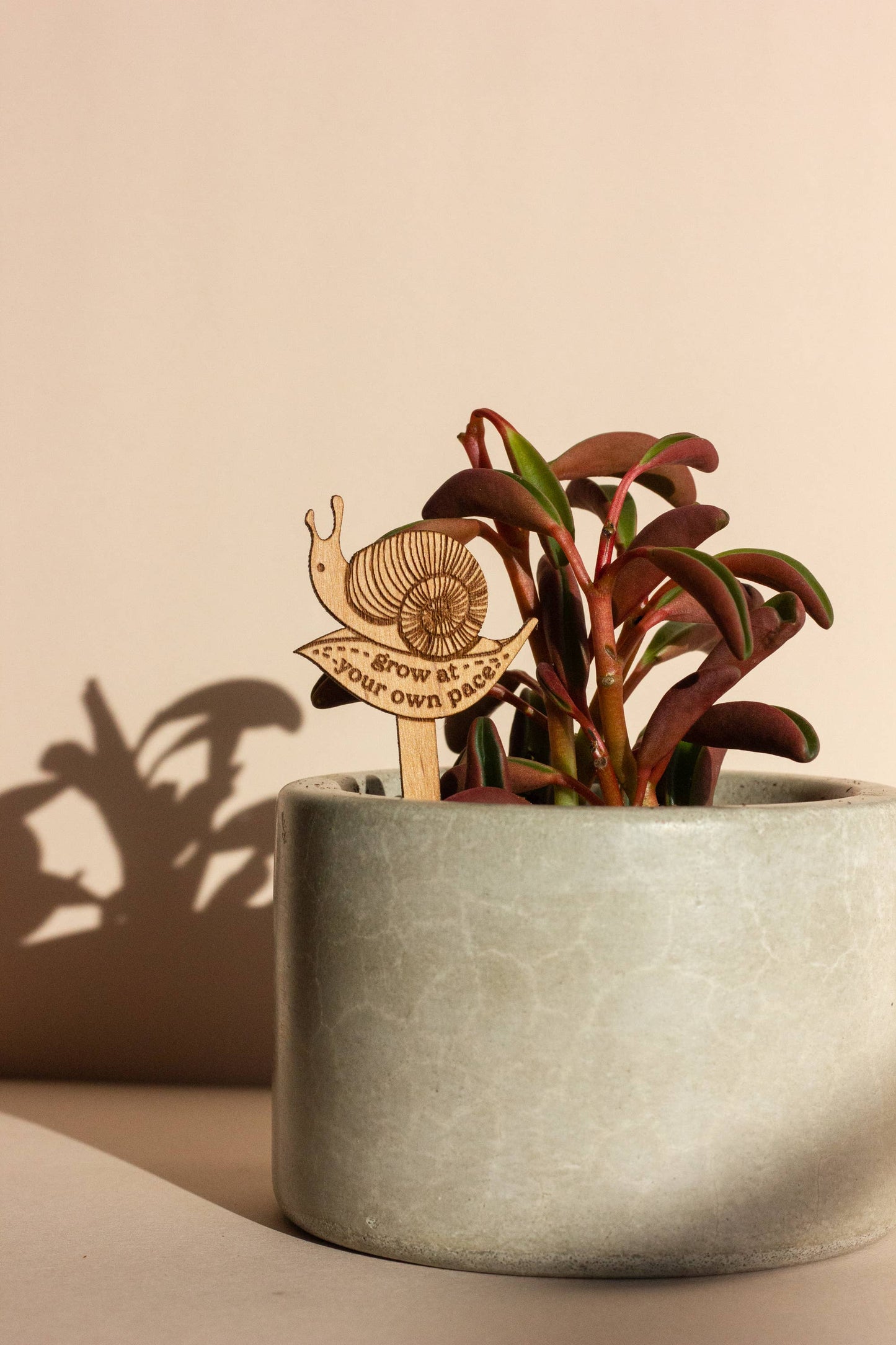 Grow at Your Own Pace Snail Wood Plant Pick