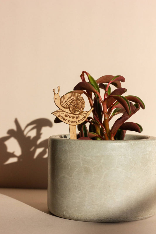 Grow at Your Own Pace Snail Wood Plant Pick