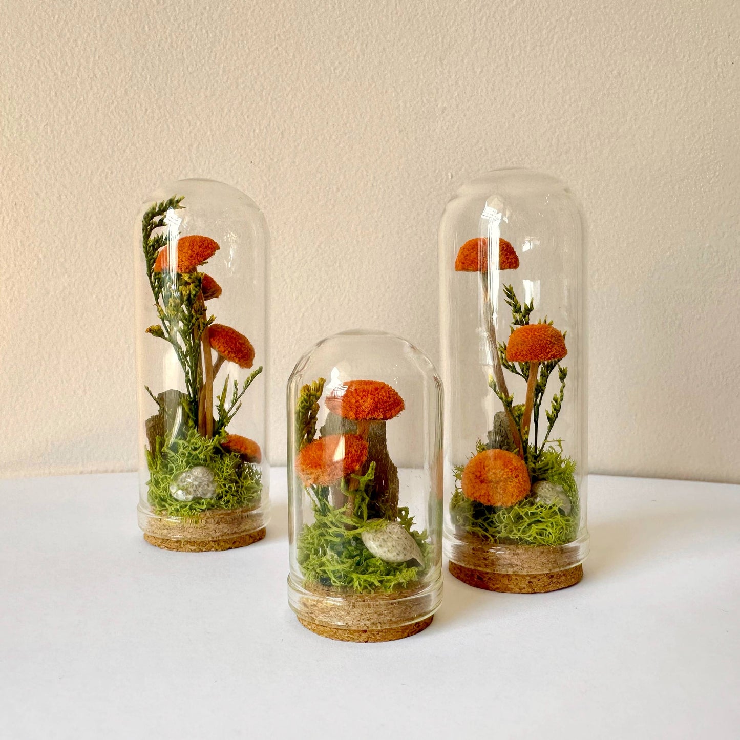 Orange Mushroom Fields Mini Glass Cloche Terrarium