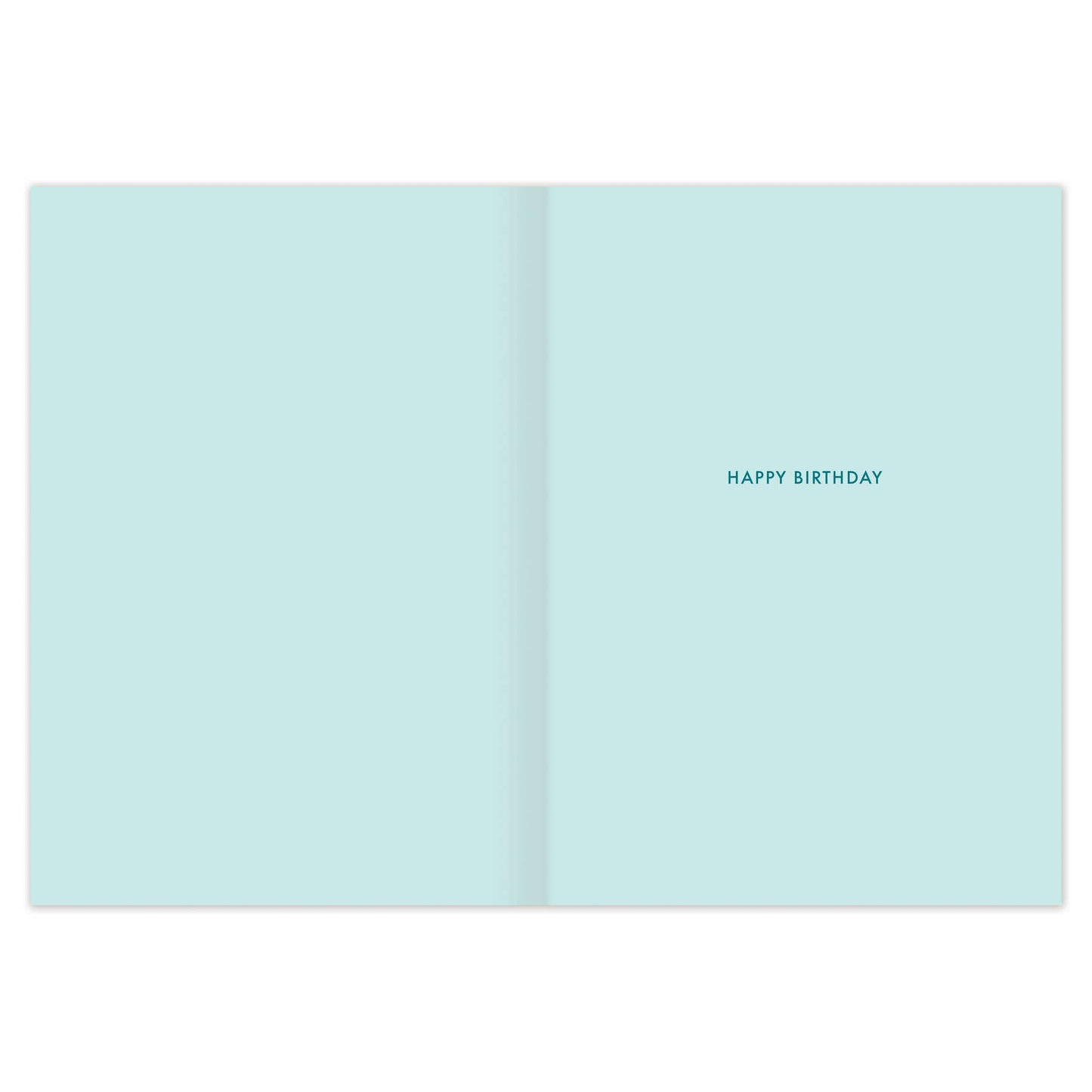 Amazing Year Birthday Card