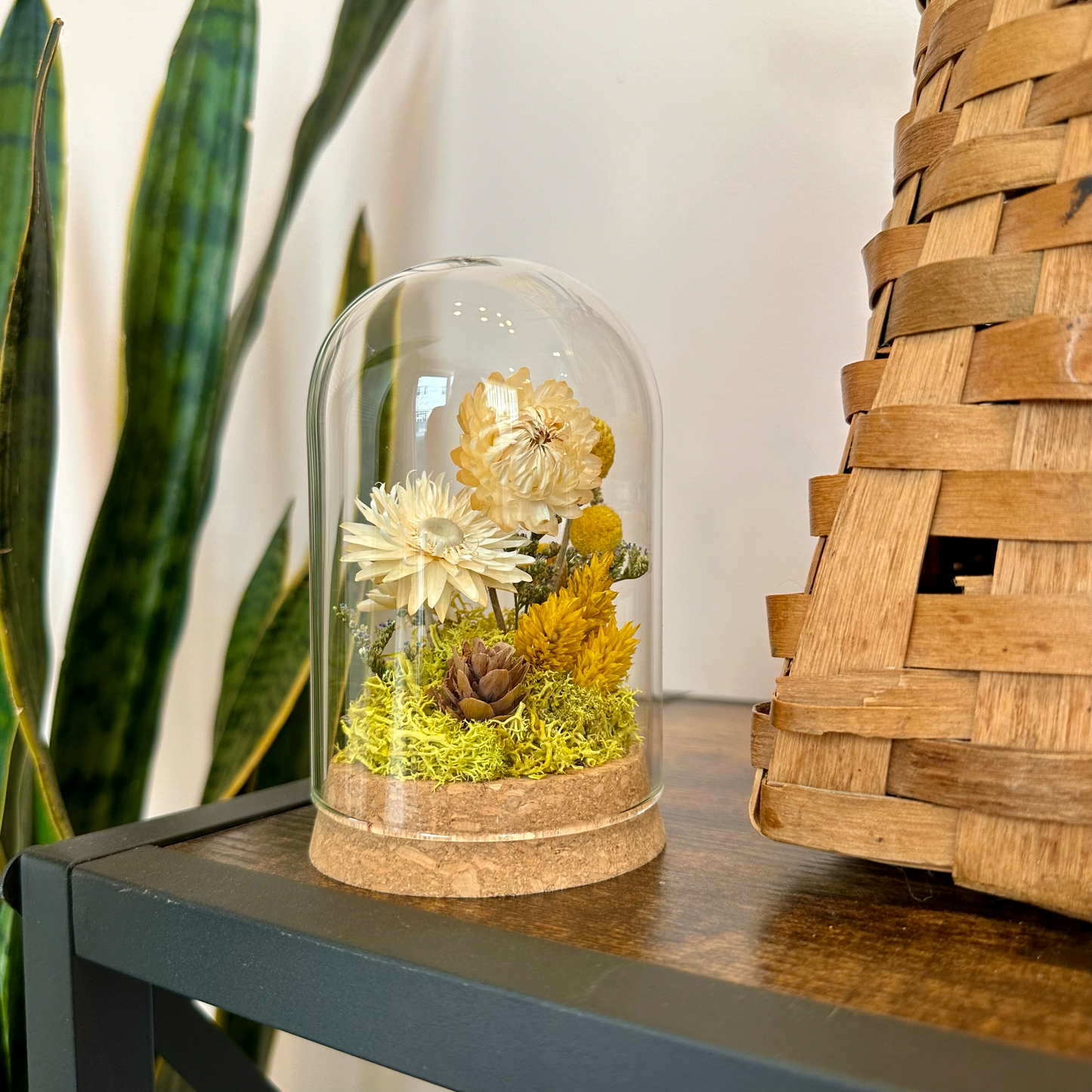 Honeyglow Large Terrarium With Dried Florals and Botanicals