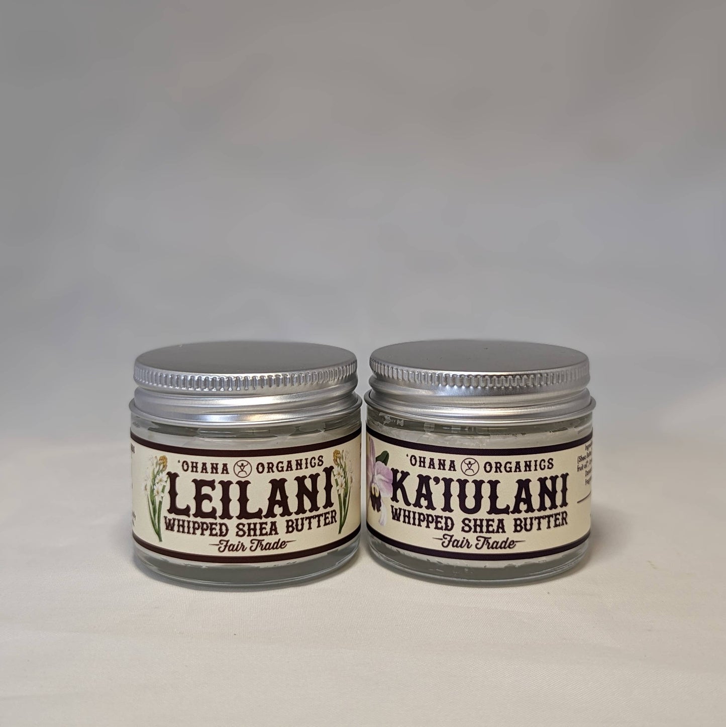 Shea Butter Cream - Whipped Tropical Scent (Cases of 6)