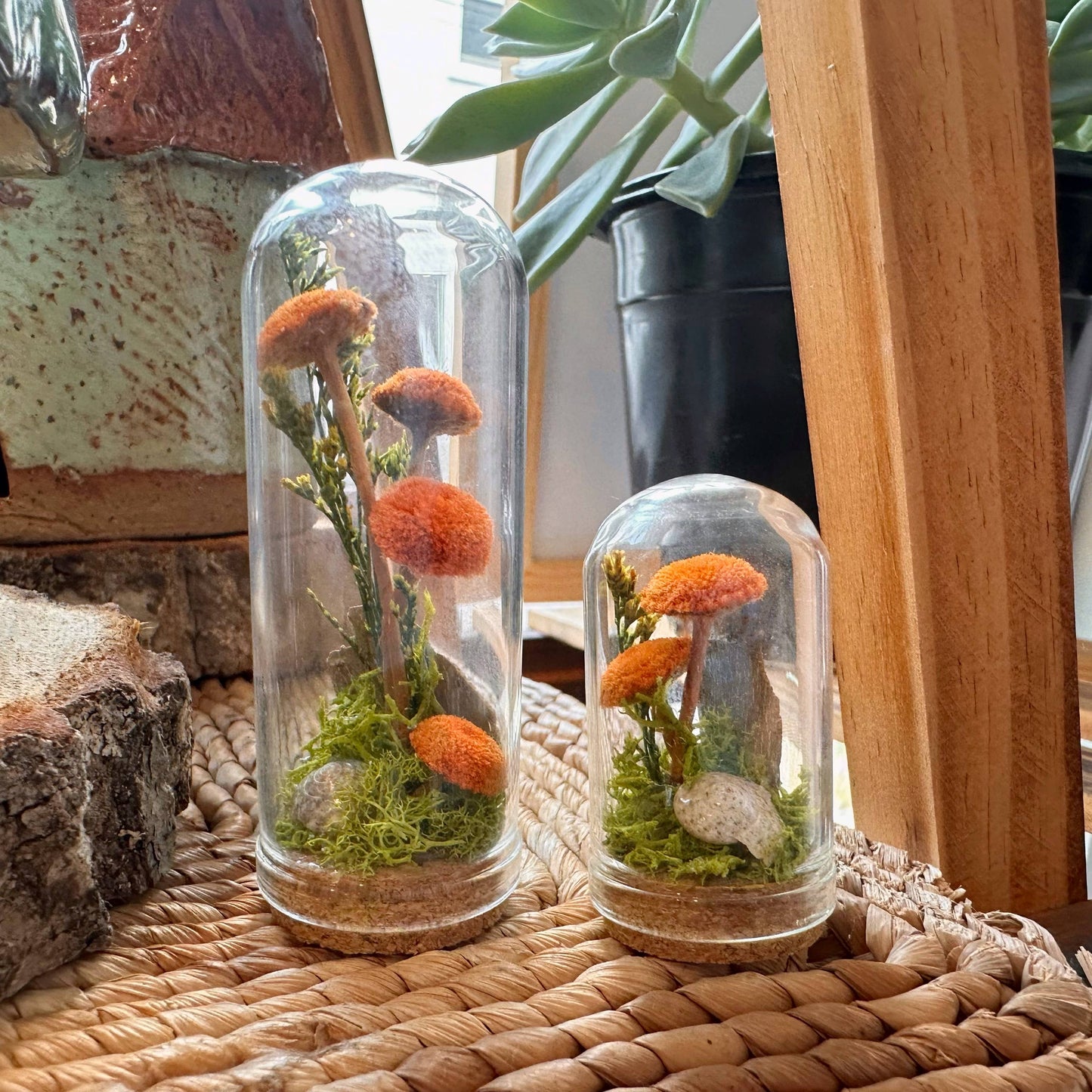 Orange Mushroom Fields Mini Glass Cloche Terrarium