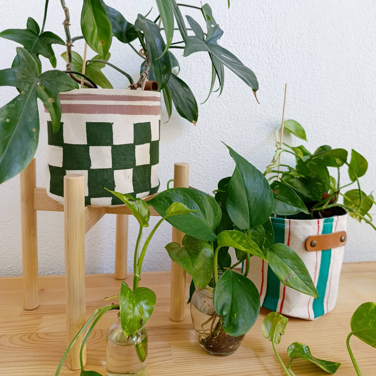 Checkerboard Canvas Planter, Graphic Home Decor