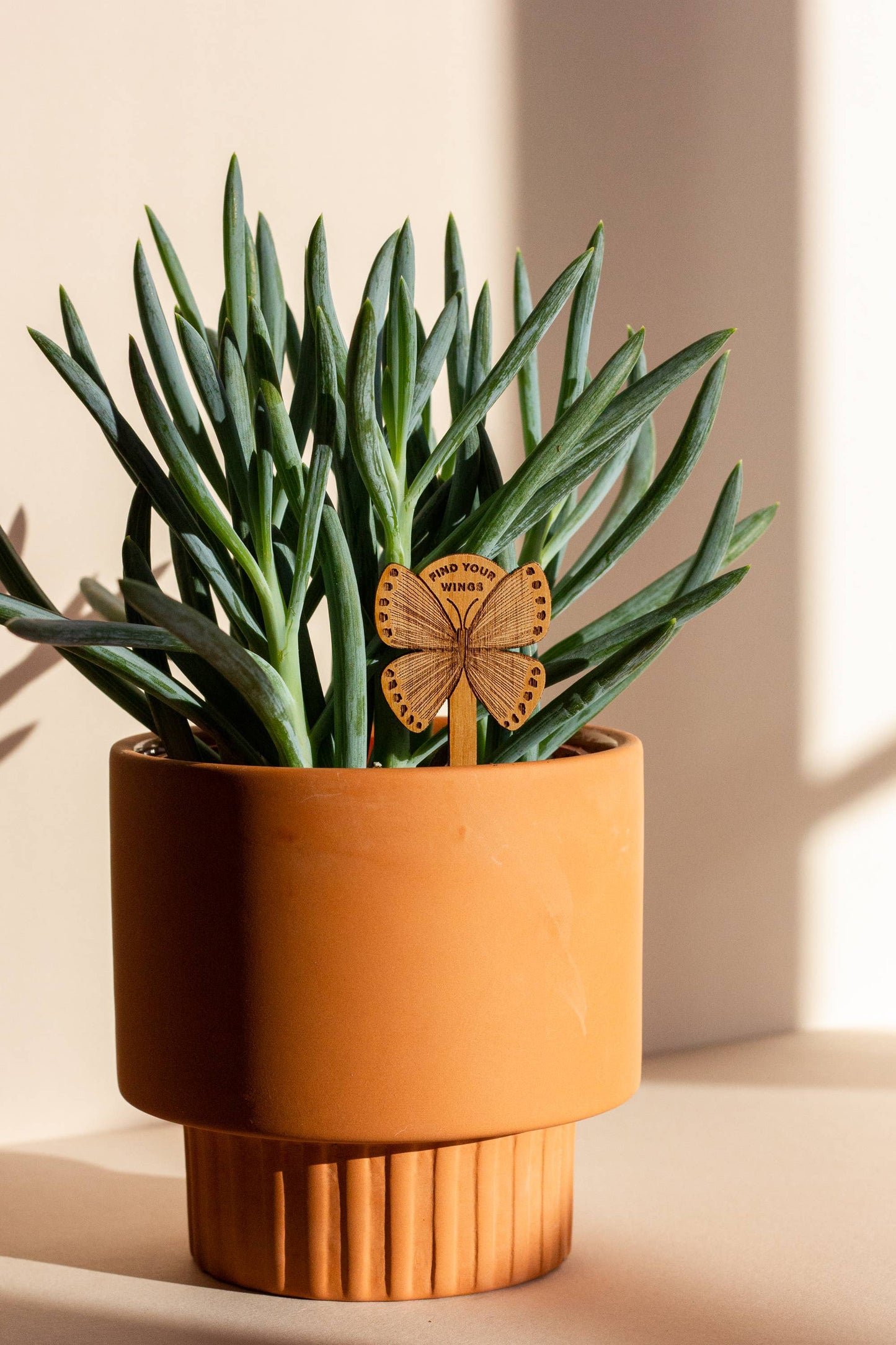 Find Your Wings Butterfly Wood Plant Pick