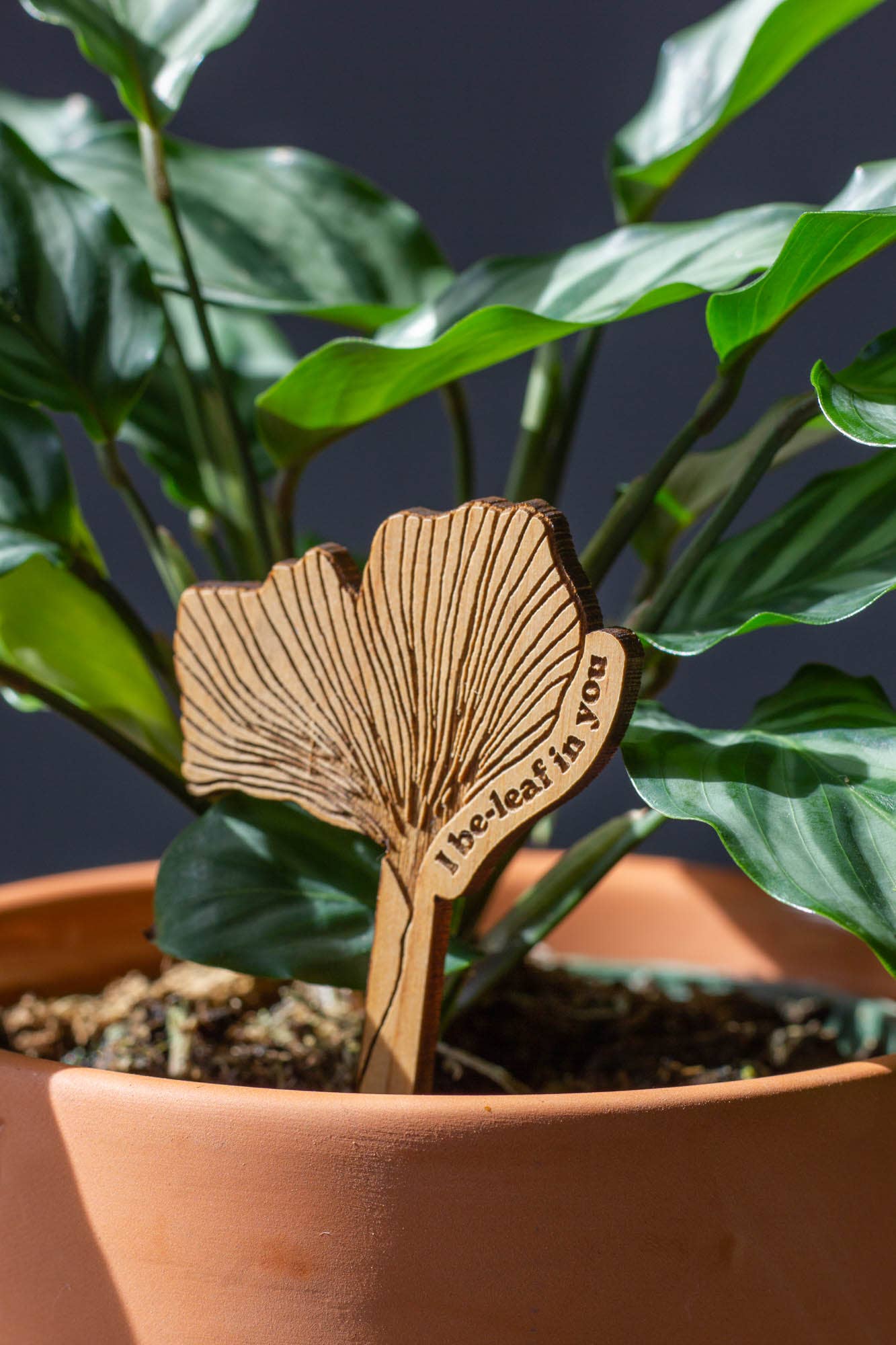 I Be-leaf In You Ginkgo Wood Plant Pick