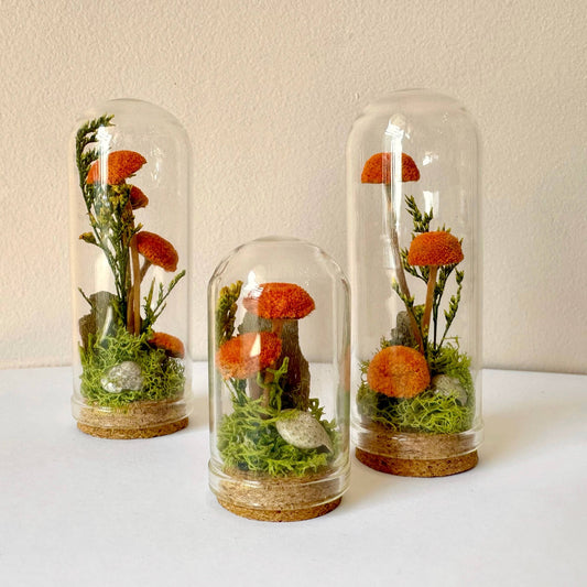 Orange Mushroom Fields Mini Glass Cloche Terrarium