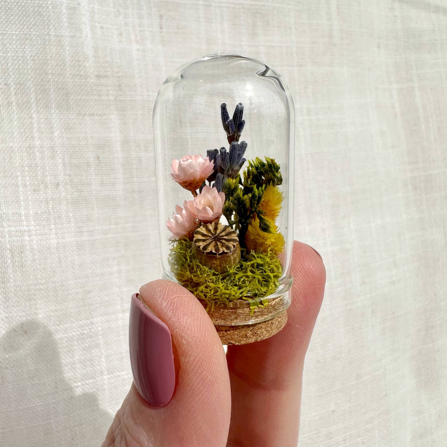 Cottage Garden Mini Terrarium w. Dried Florals Glass Cloche 
