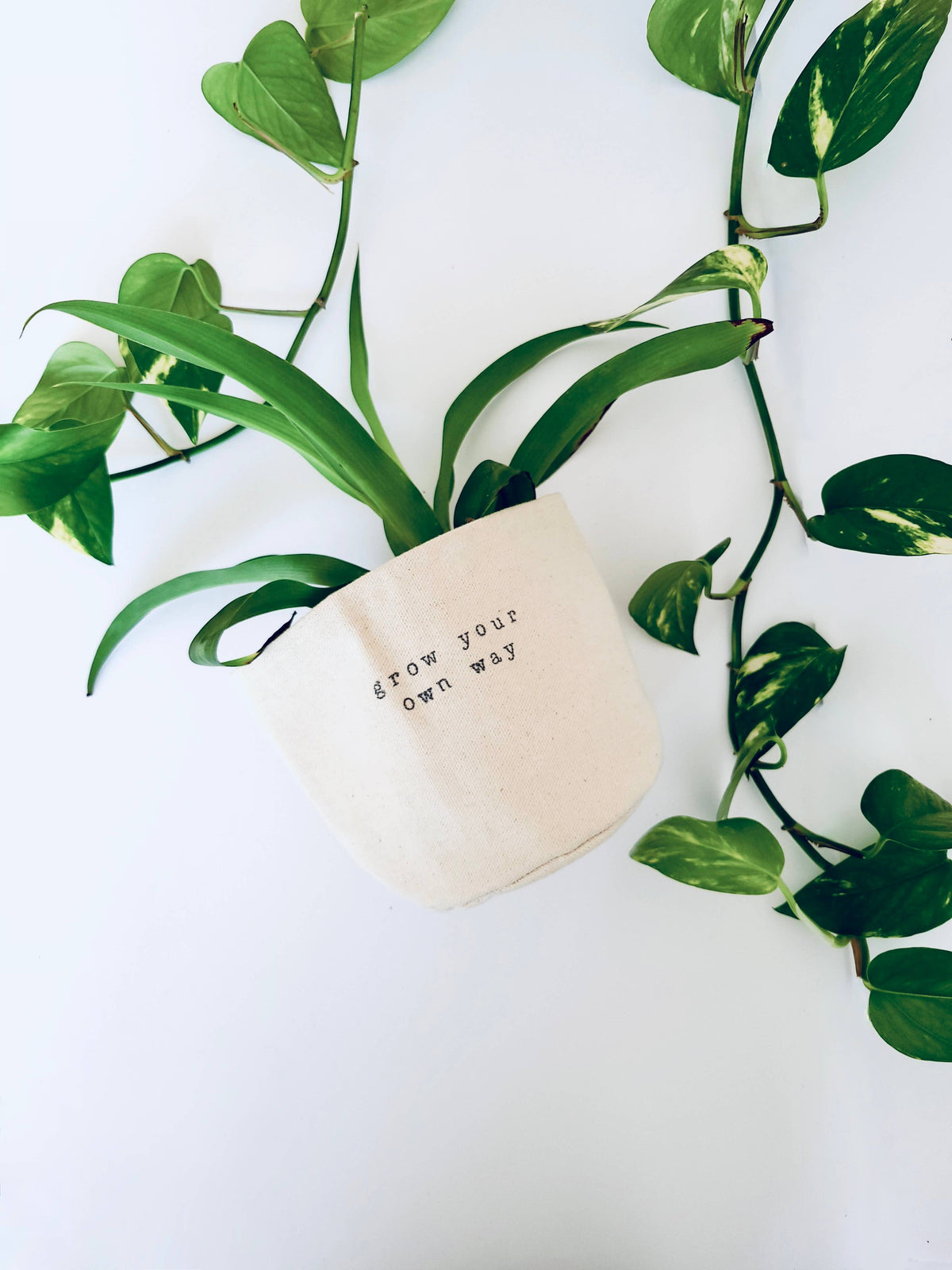 Grow your own way Canvas Plant Pot Cover