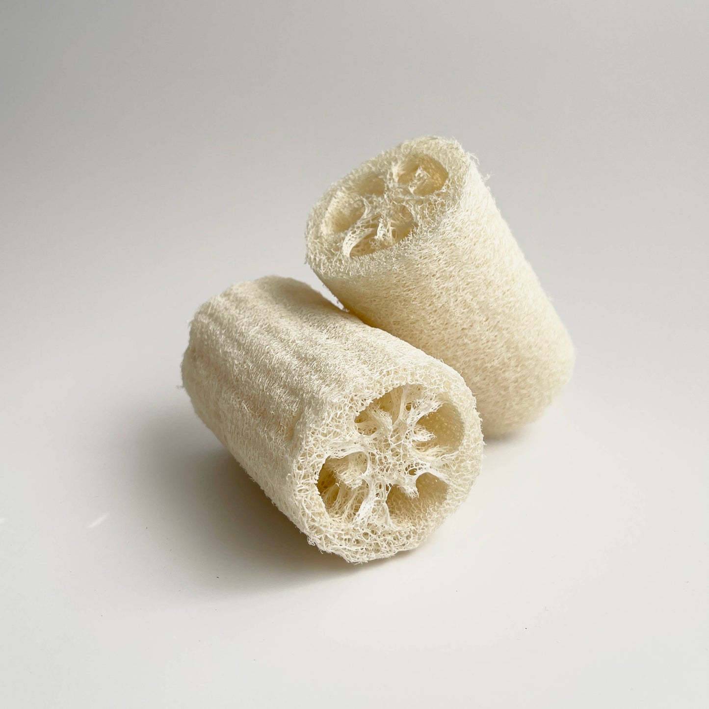 Natural Loofah Sponge (Flat Press)