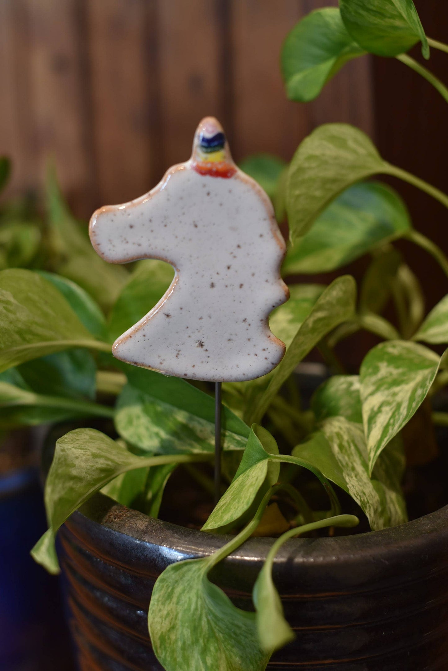 Plant Buddies - Unicorn