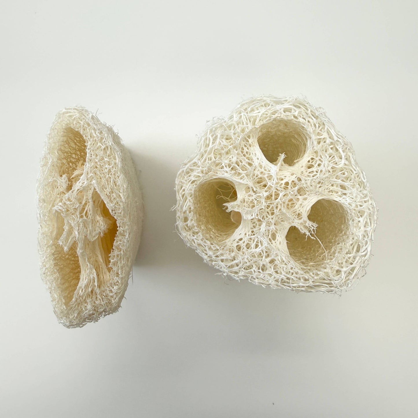 Natural Loofah Sponge (Flat Press)
