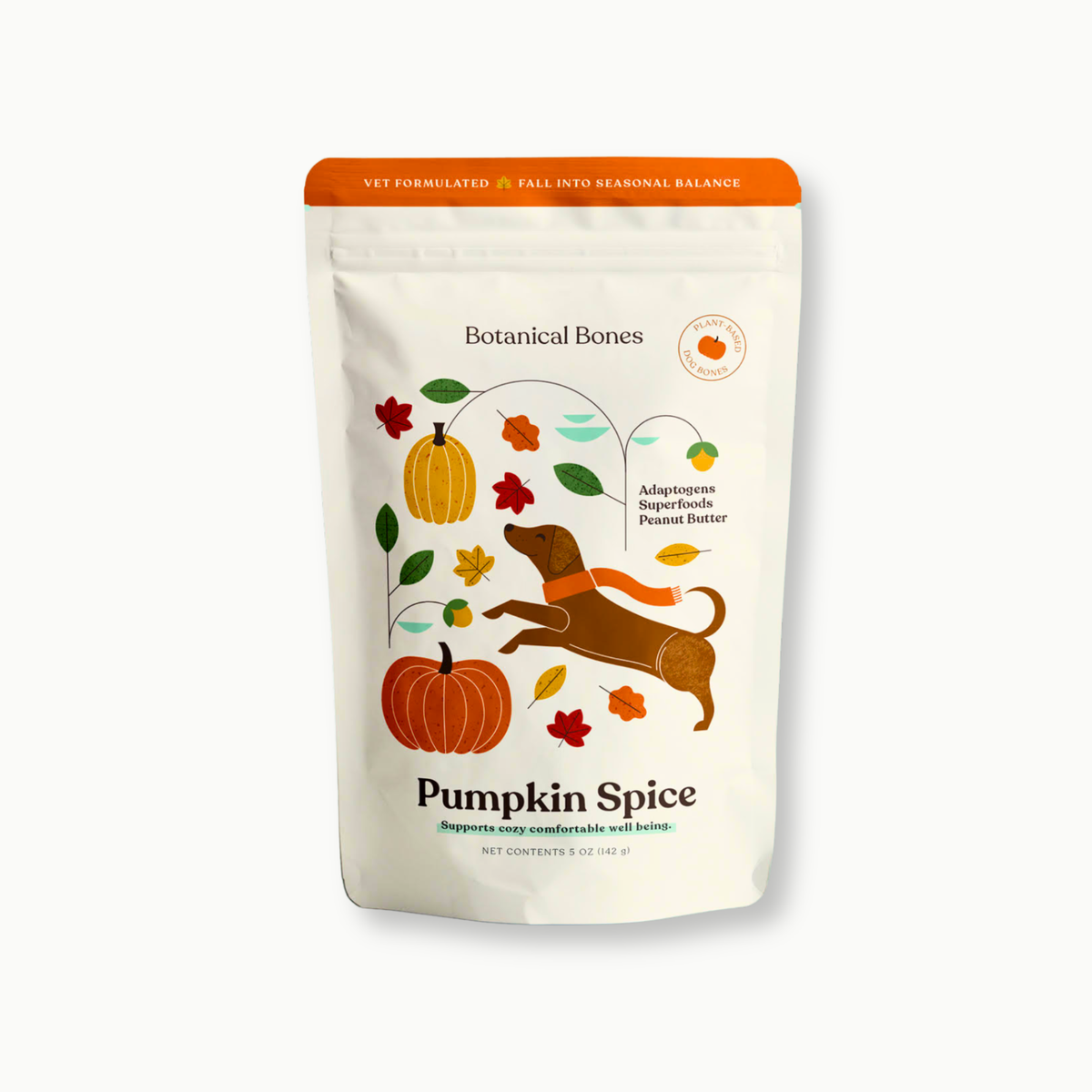 Pumpkin Spice Dog Treats 🎃  Fall, Autumn, Halloween