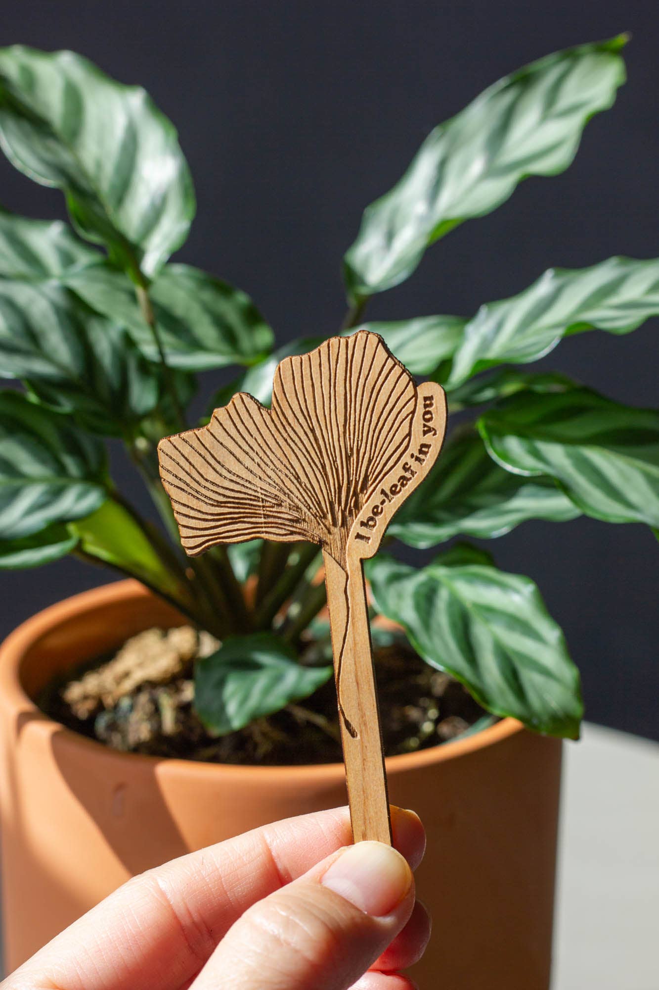 I Be-leaf In You Ginkgo Wood Plant Pick