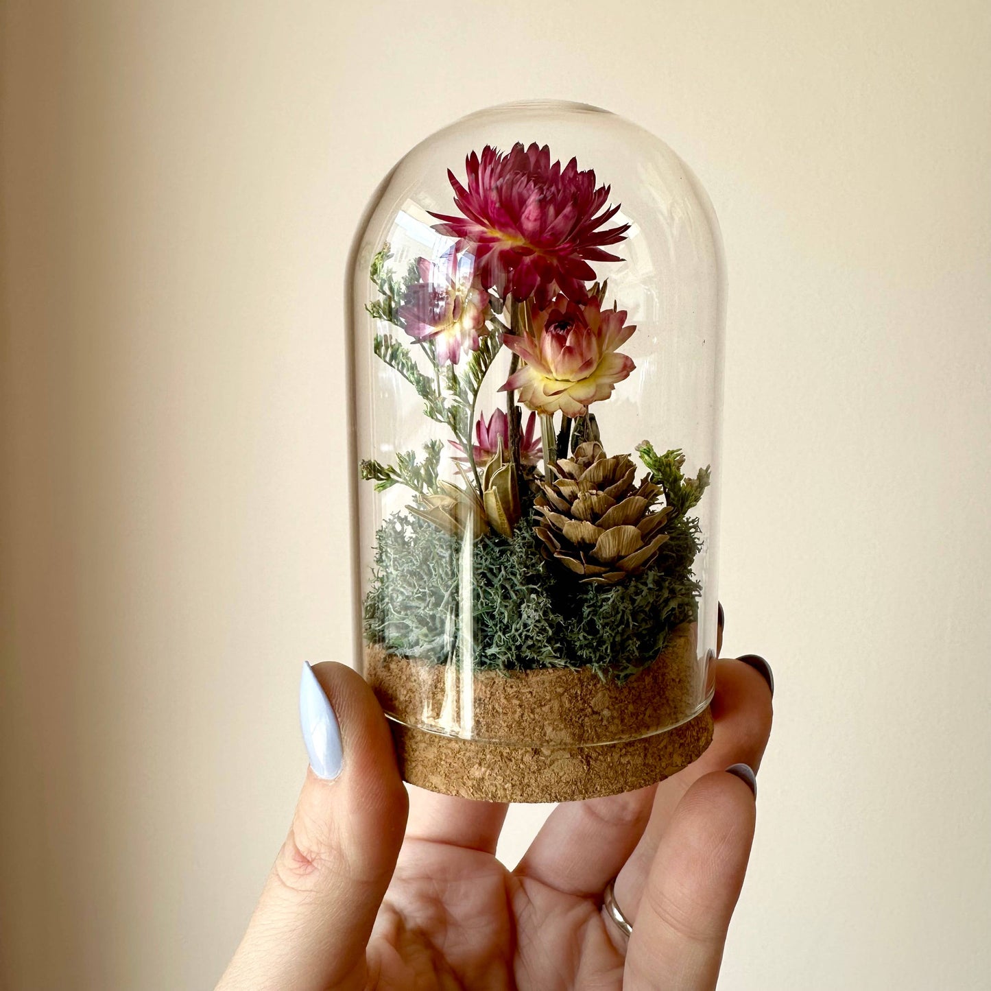 Pink Strawflower Fields Large Terrarium Glass Jar w. Florals