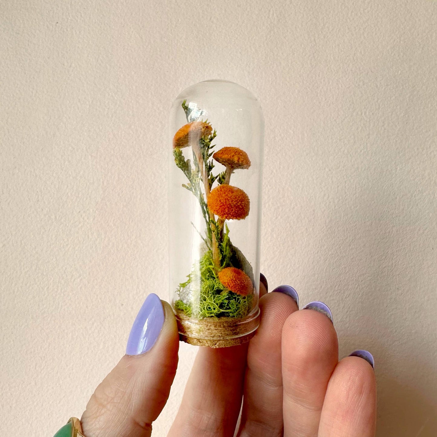 Orange Mushroom Fields Mini Glass Cloche Terrarium