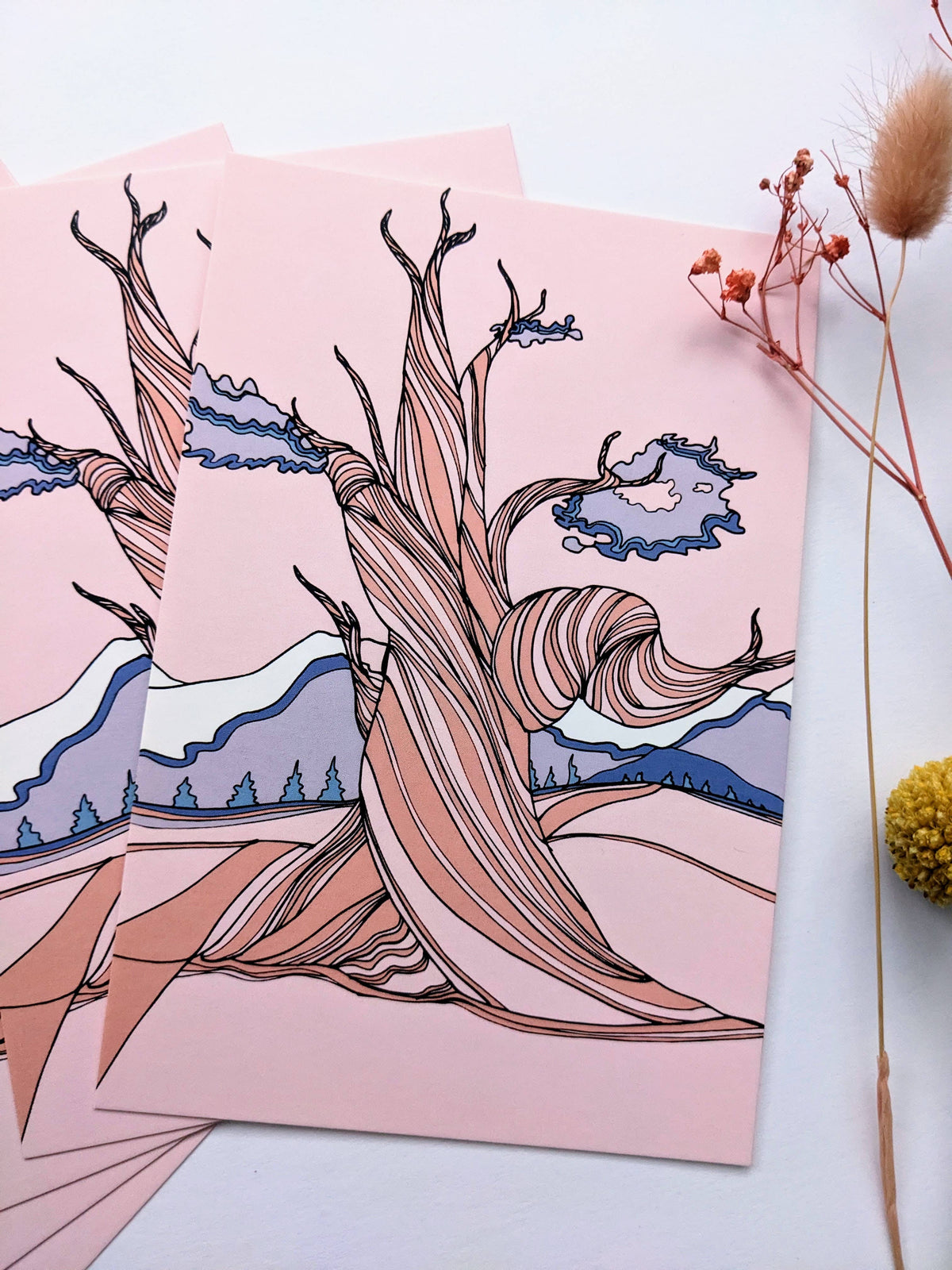 Bristlecone Pine Postcard, Nevada State Tree Postcard