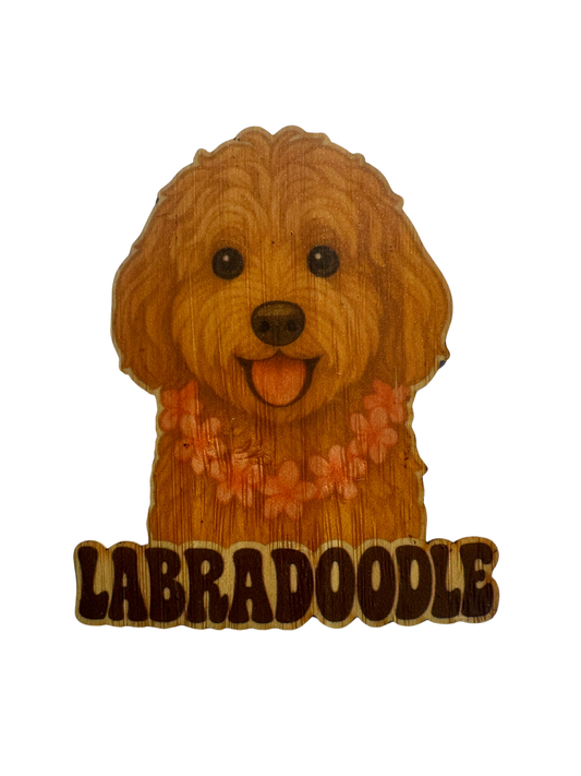 Labradoodle