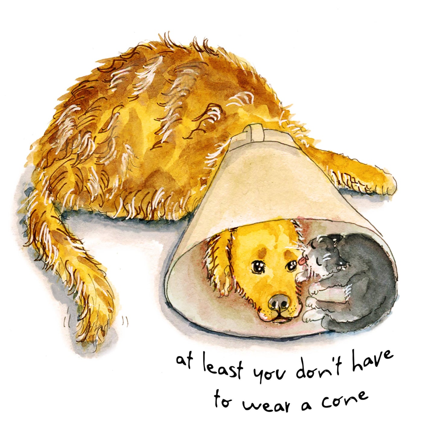 Cone Of Shame Dog And Cat - Sympathy Card